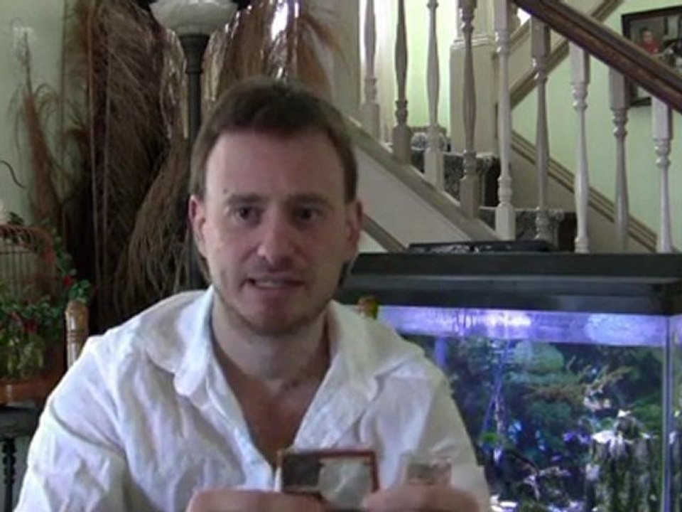 What is the Difference Between Investing in Silver and Gold