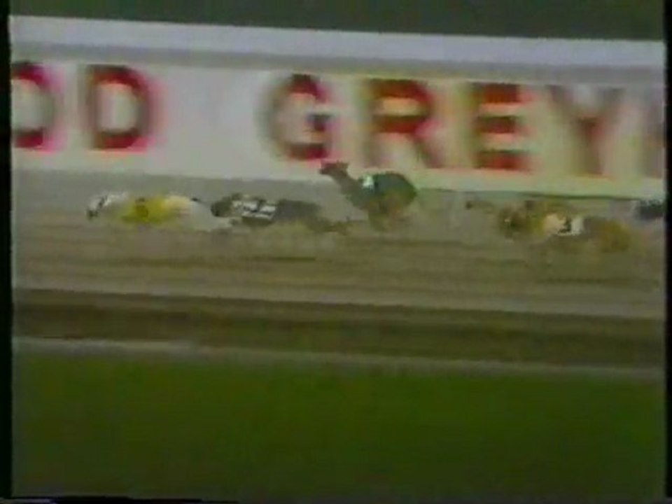 1988 World Classic: Stakes Racing Florida