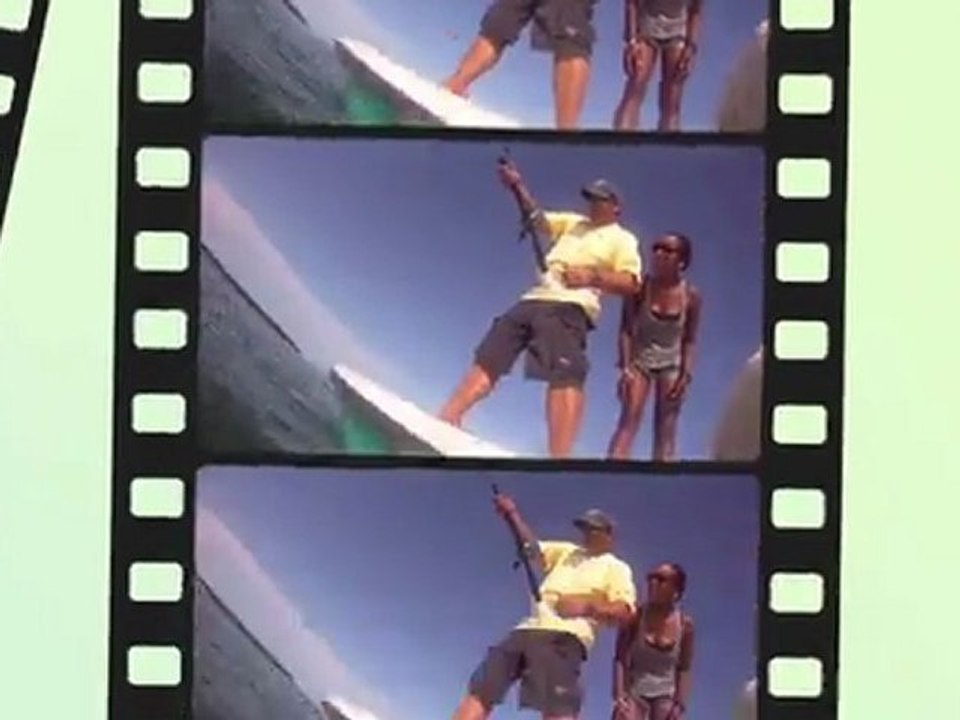 Requin Citron Capturé en Floride 🦈