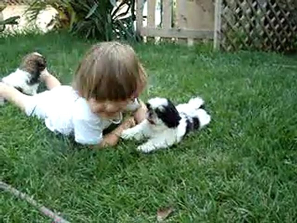 BB + BB: Portée à 2 mois dans le jardin 🌱