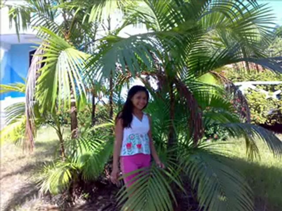 Escola Municipal de Ensino Fundamental e Médio Perpétuo Socorro