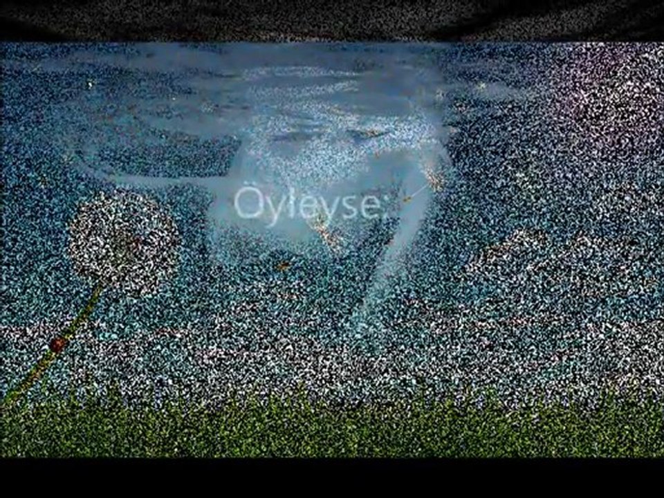 Hayatı Yakala ve Özelliklerini Hatırla 🌟