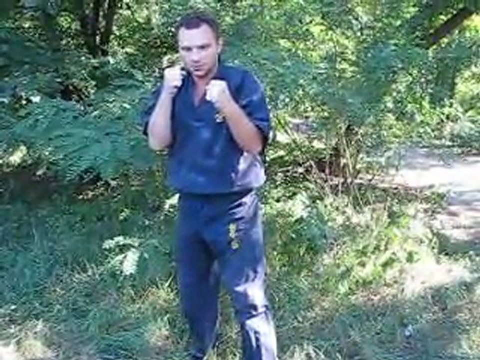 Хортинг. Первая защитная форма. Александр Гречаный.