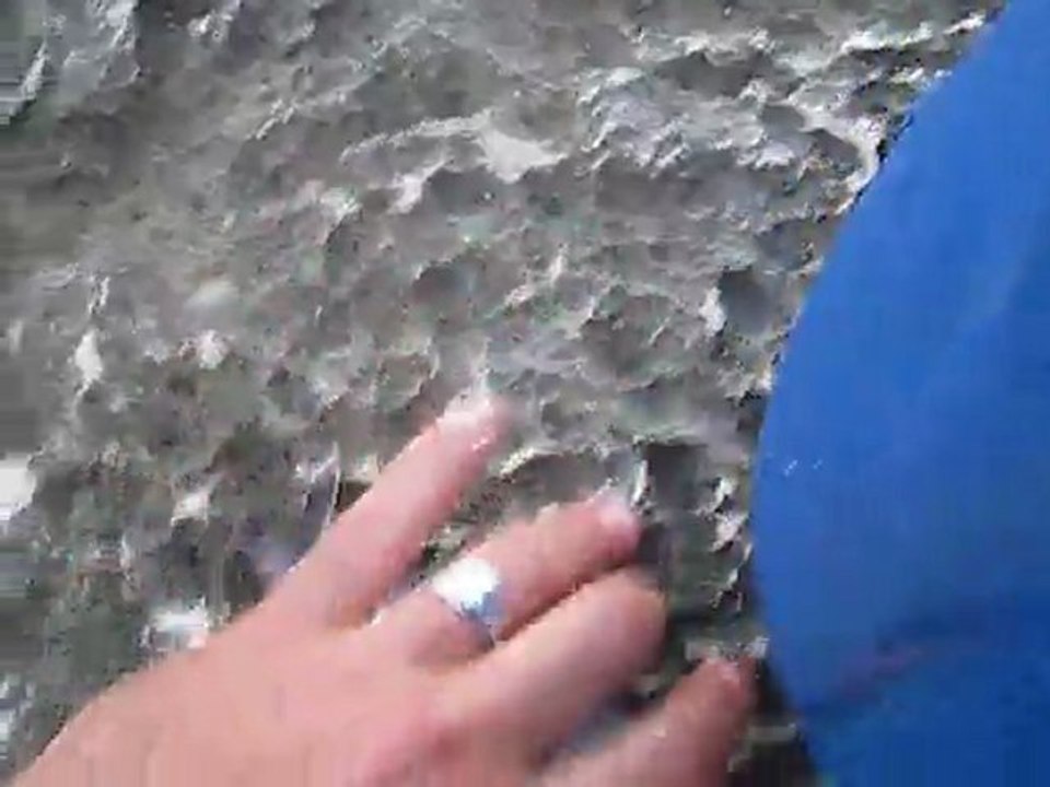 No Kill 2: Marine Fishing Guidelines 🎣