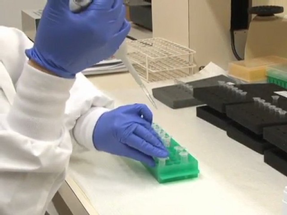 Understanding Narcolepsy