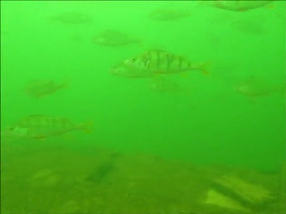 Découverte des Structures Englouties du Lac du Salagou 🎥