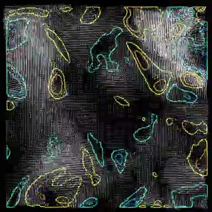 quiv_divcurl PIV LaVision