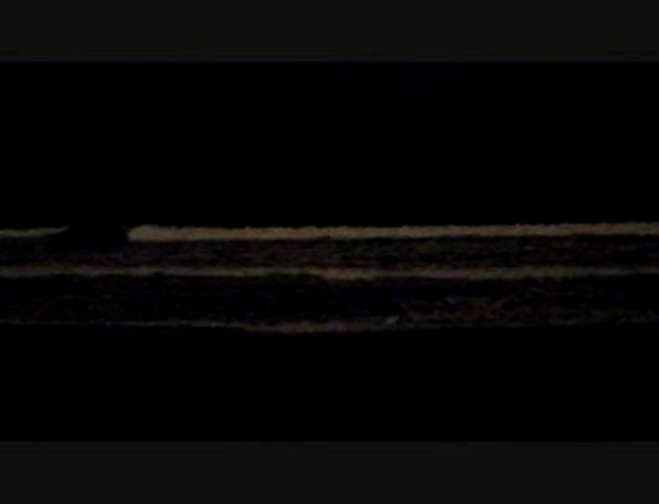 San Diego Surfers Ride Bioluminescent Waves 2011