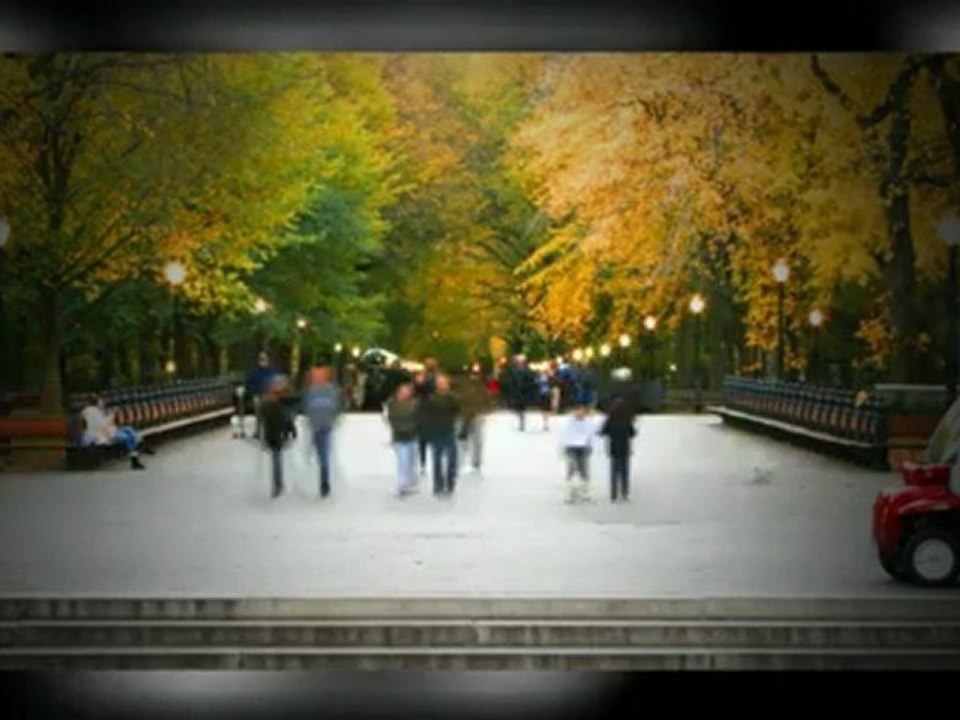 What Are Backlinks And How Can They Help Me