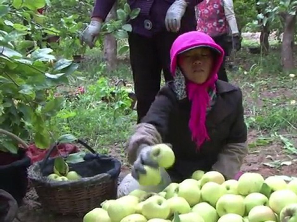China versus desierto