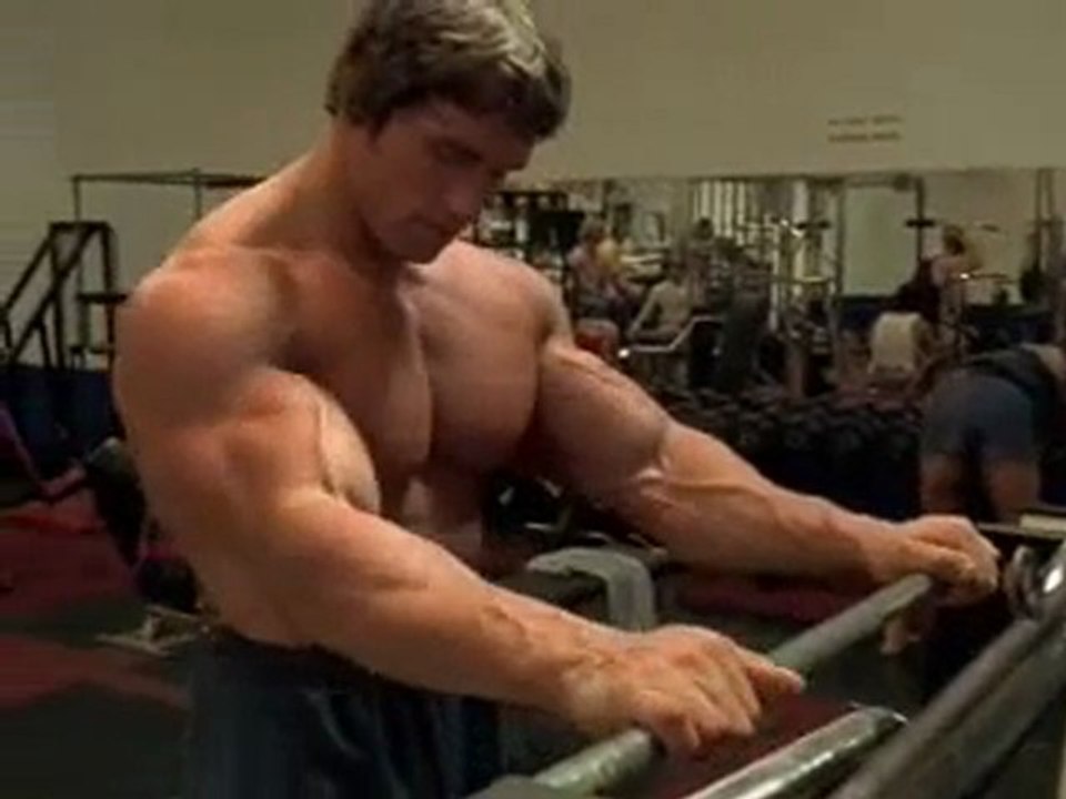 Discover Arnold Schwarzenegger: From Bodybuilding Legend to Hollywood Icon 💪