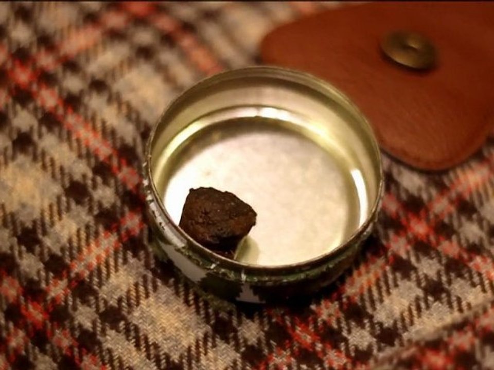 Trauma - Freestyle UZ