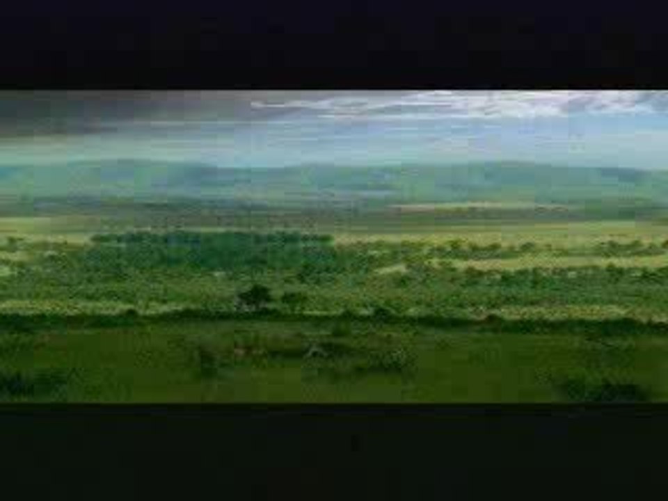 Blonde Antelope Overview