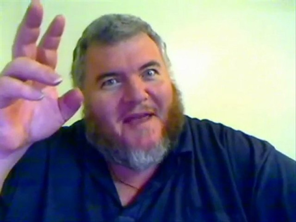 What is the difference between dogs and cats?