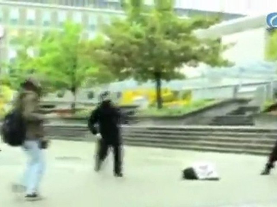 No luches contra el ninja