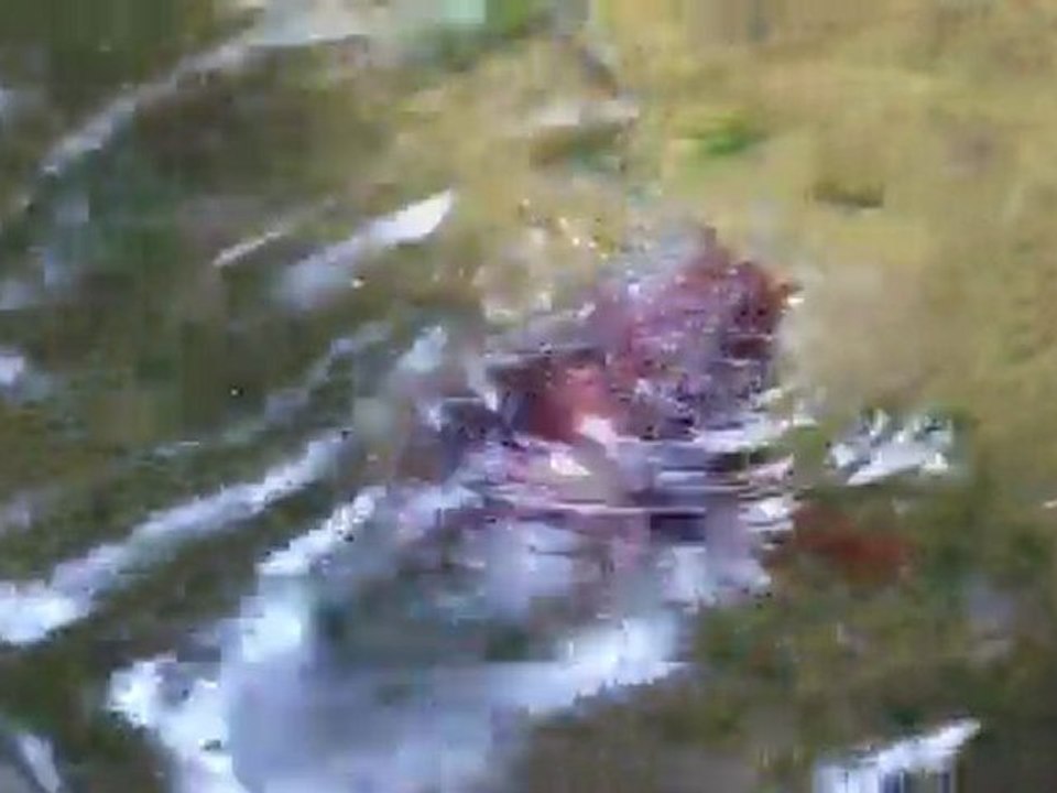 Immerse Yourself in Rumi's Poetry & Water Reflections 🌊