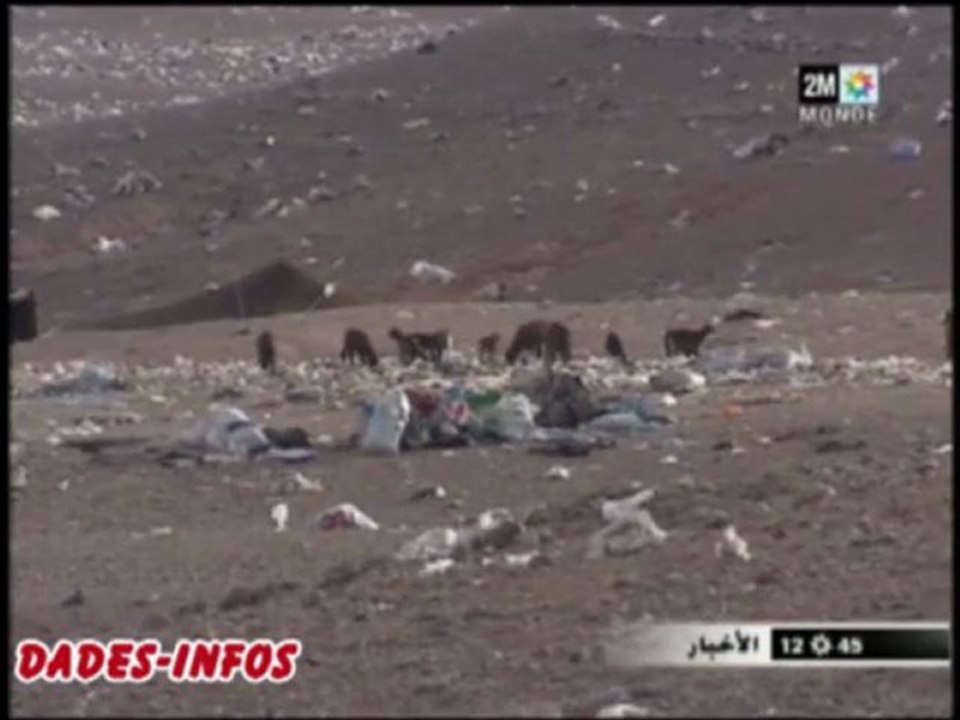 أكياس البلاستيك تجتاح مدينة الرشيدية