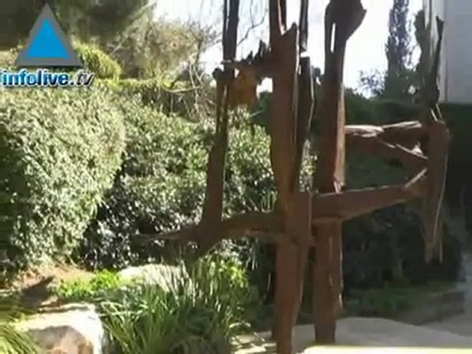 Recorrido por el campus de la Universidad Hebrea de Jerusalén en Monte Scopus