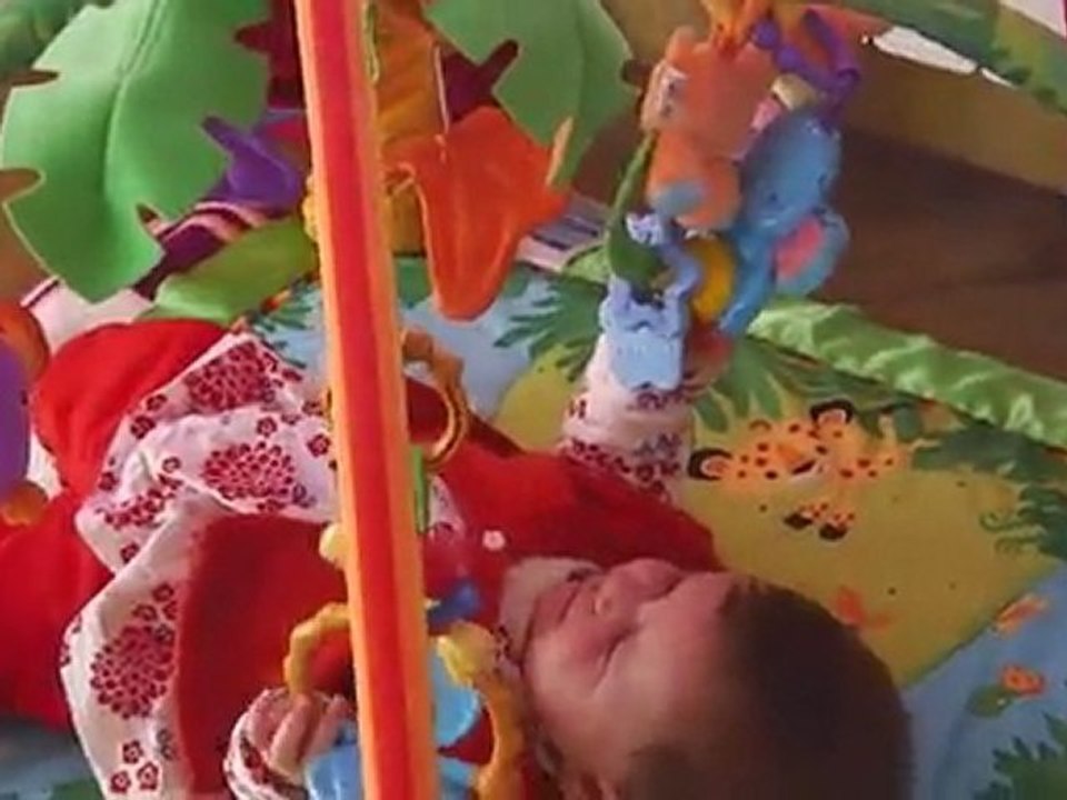 Exploration zoologique