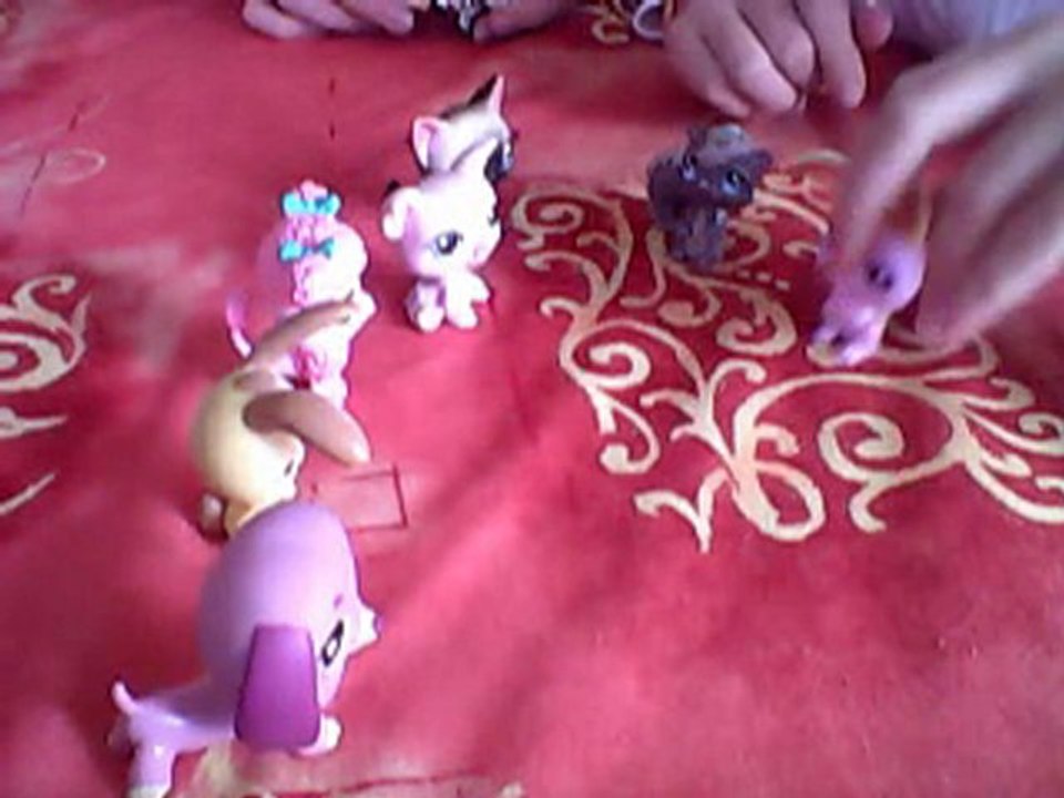 petshop une vie entre copines episode 1