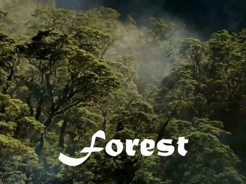 Forest (Kadu Karutha Kadu by K G Markose)