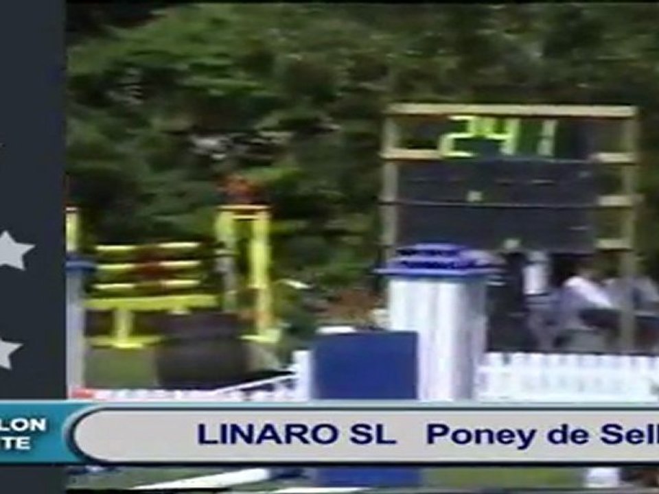 à verifier LINARO-linaro dvd