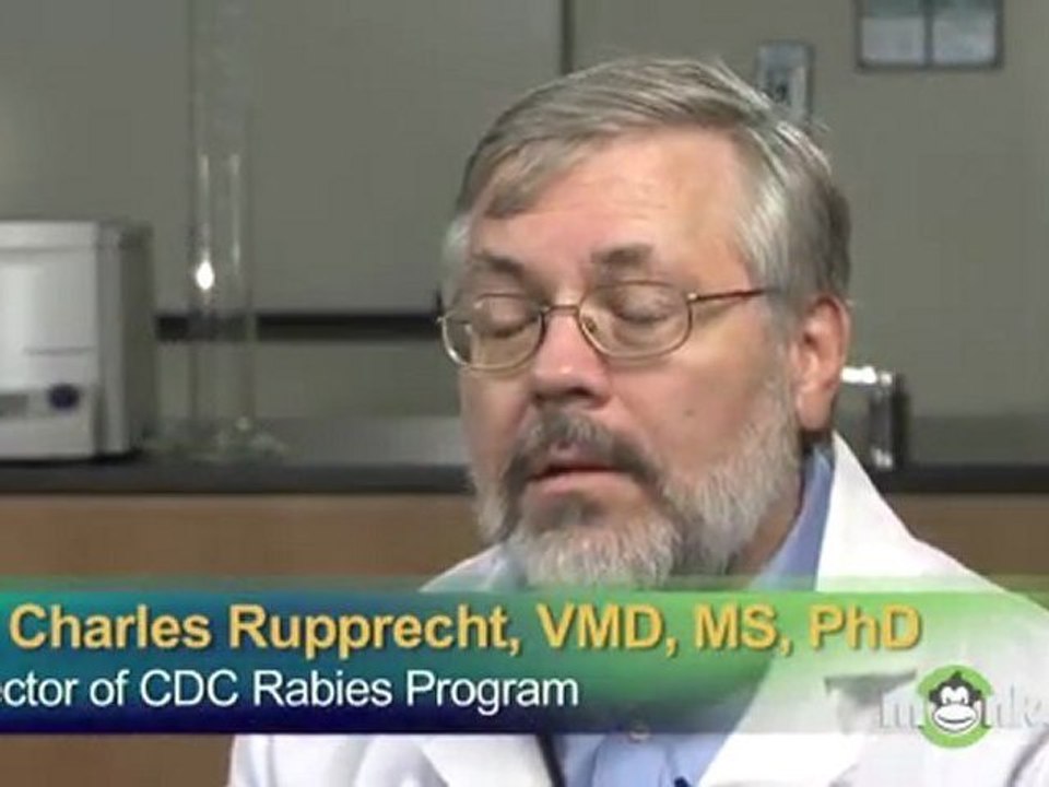 Understanding Rabies