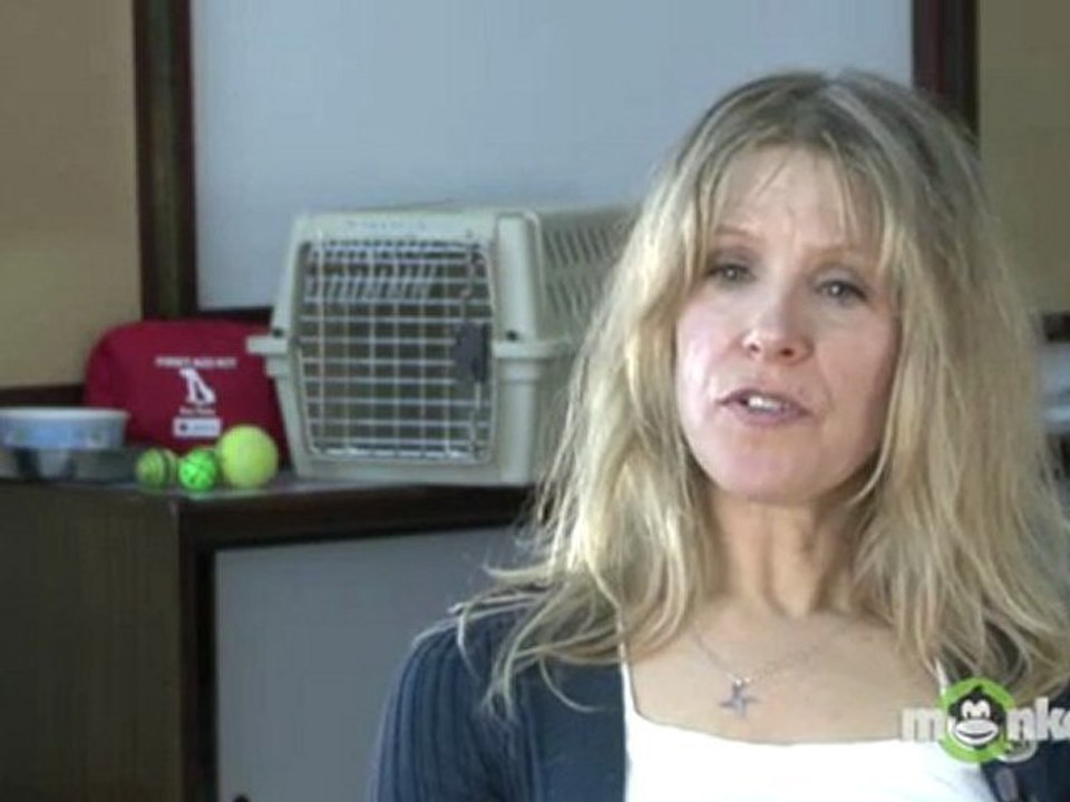 What is the difference between a regular shelter and a co-shelter?