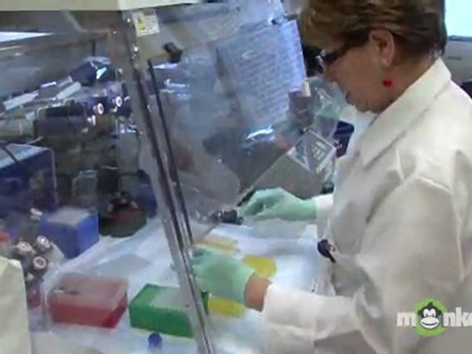 Arthritis Help and Research