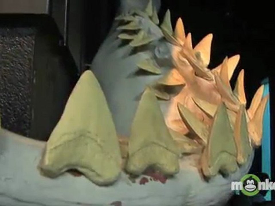 What to Do When a Shark Attacks