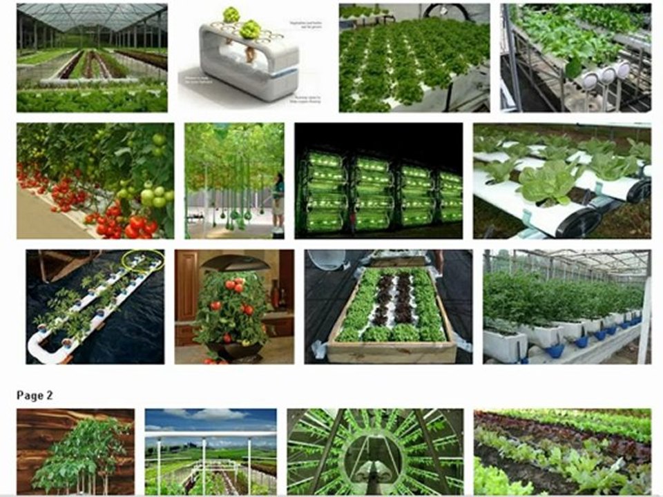 An Explanation of Hydroponics Gardening