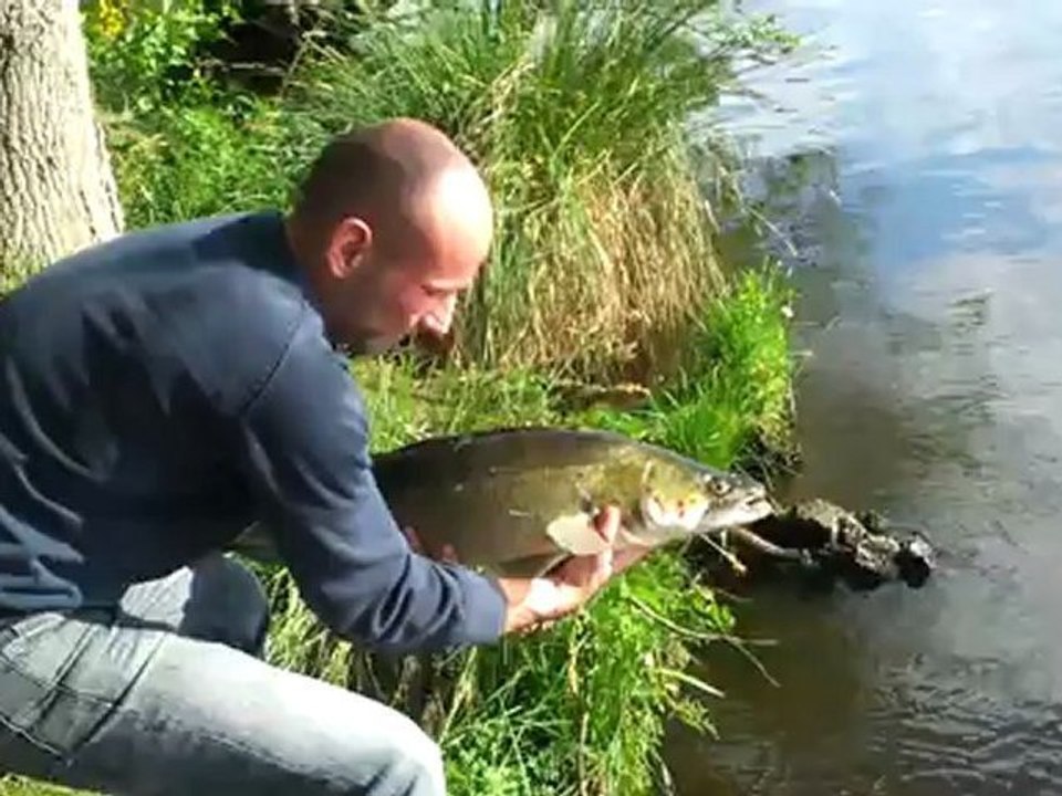 Sandre de 90 cm relâché après capture au shad 🎣