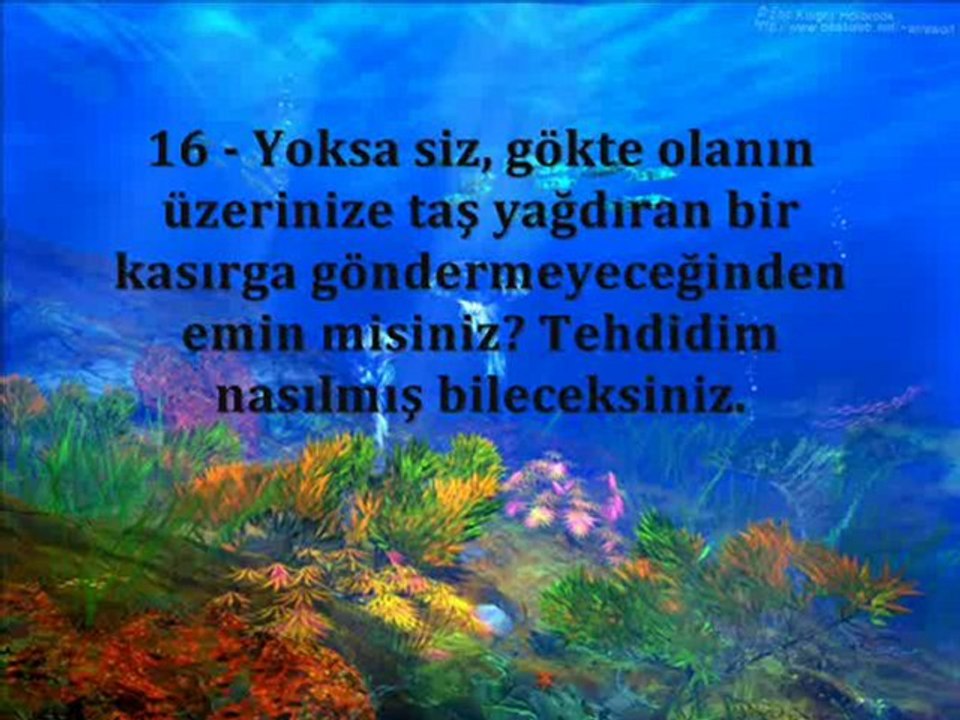 Mülk Suresi Ahmed El Acemi