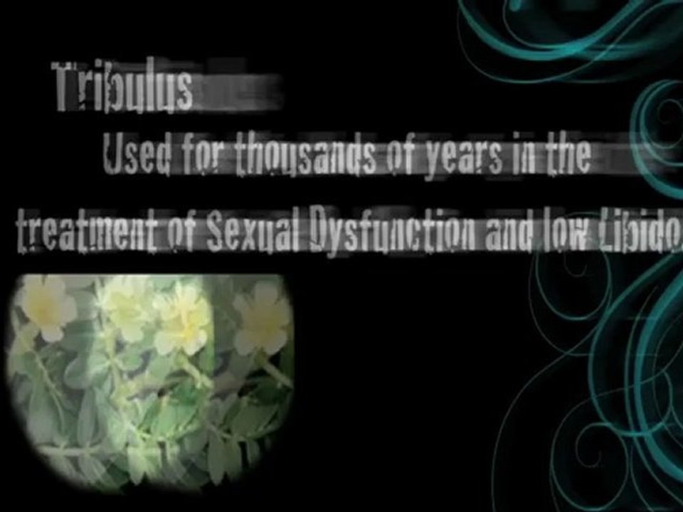 What Are Vimax Pills? Discover Their Benefits and Ingredients 🌿