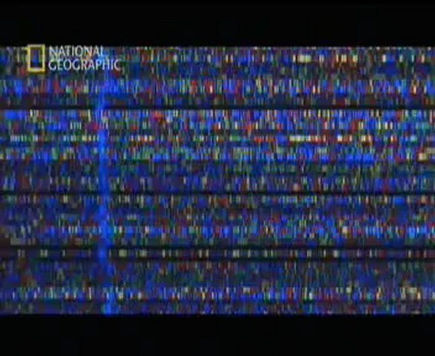 Bir Tür Başka Bir Türe Nasıl Dönüşür