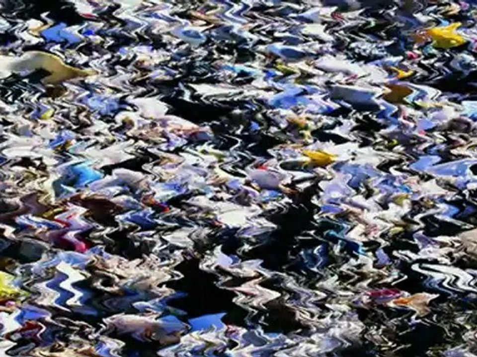 THE CAMPAIGN - HUGGINS OR BRADY.... BRADY OR HUGGINS???