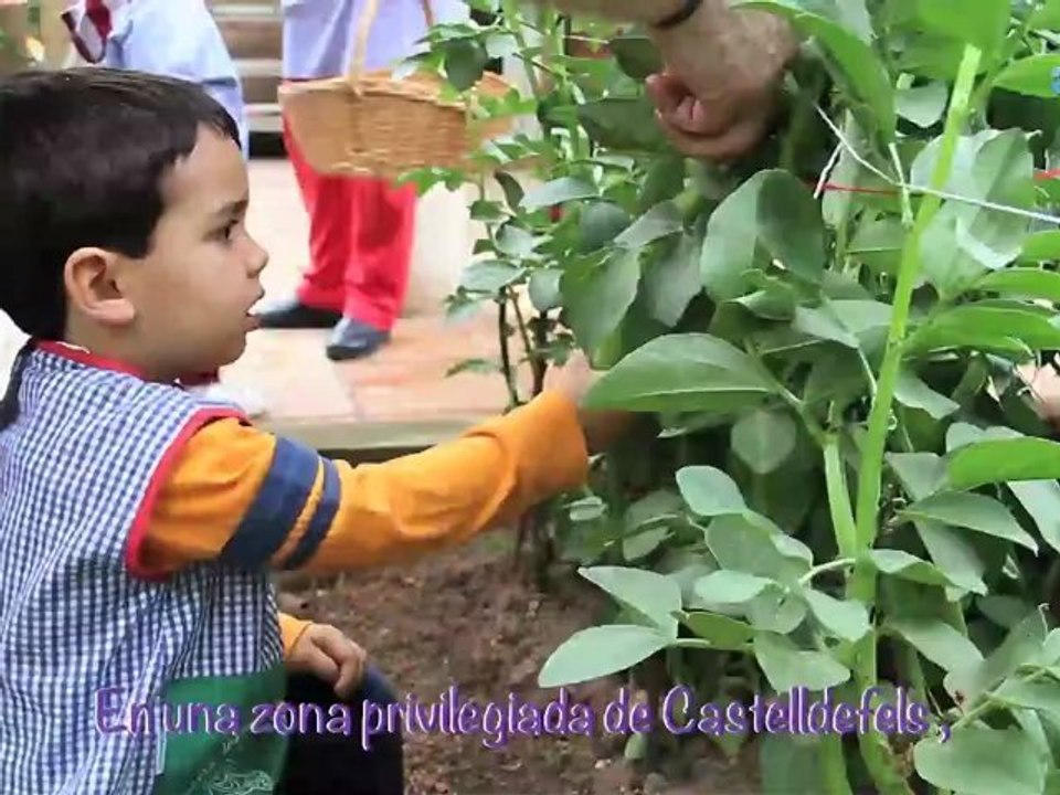 Escuela Infantil - Castelldefels - Escola Infantil IL.Lusions SL