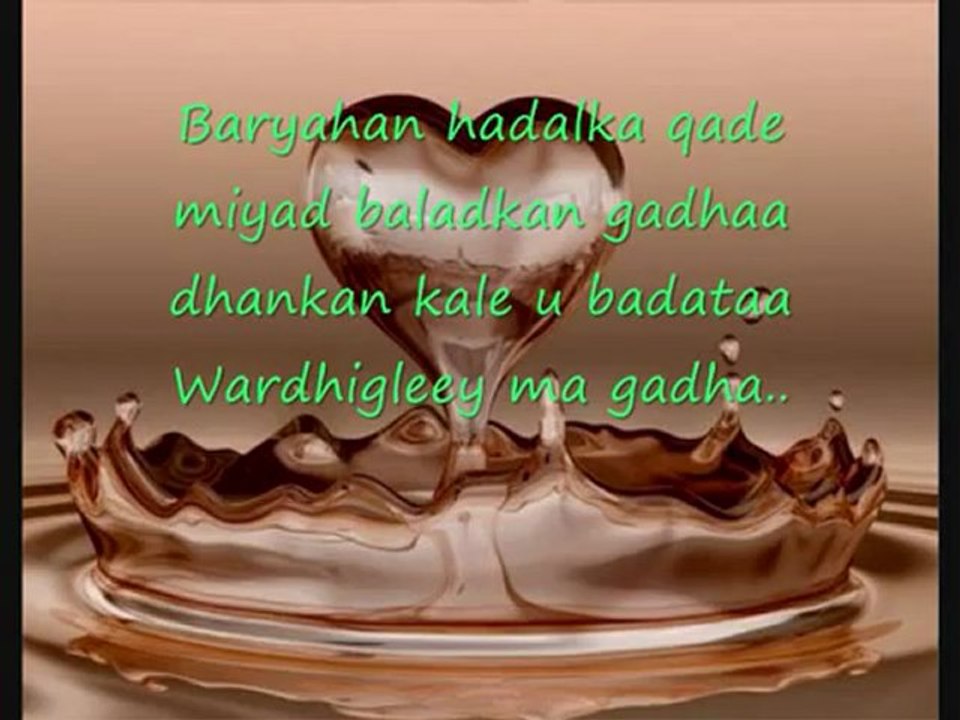 Somali Lyric - Song - Wardhigeleey