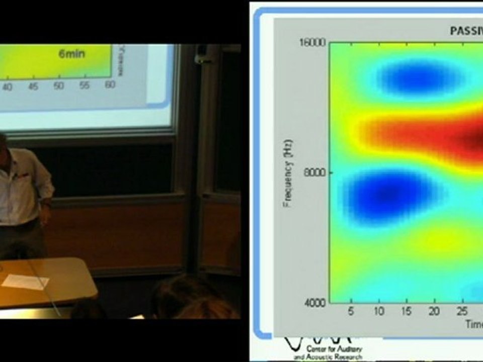 Mathematical Models of Auditory Cortical Processing
