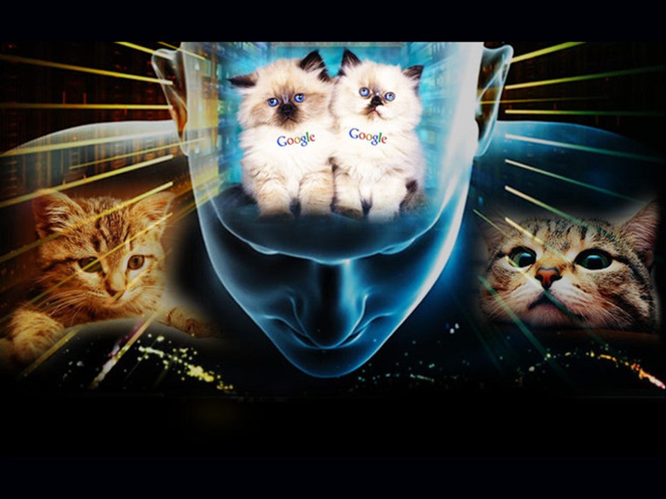 Google "Brain" Loves Watching Cat Videos