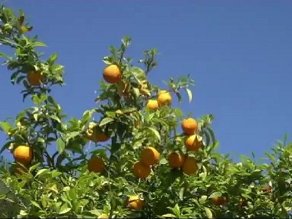 Chypre en Mai: Vues Impressionnantes 🌅