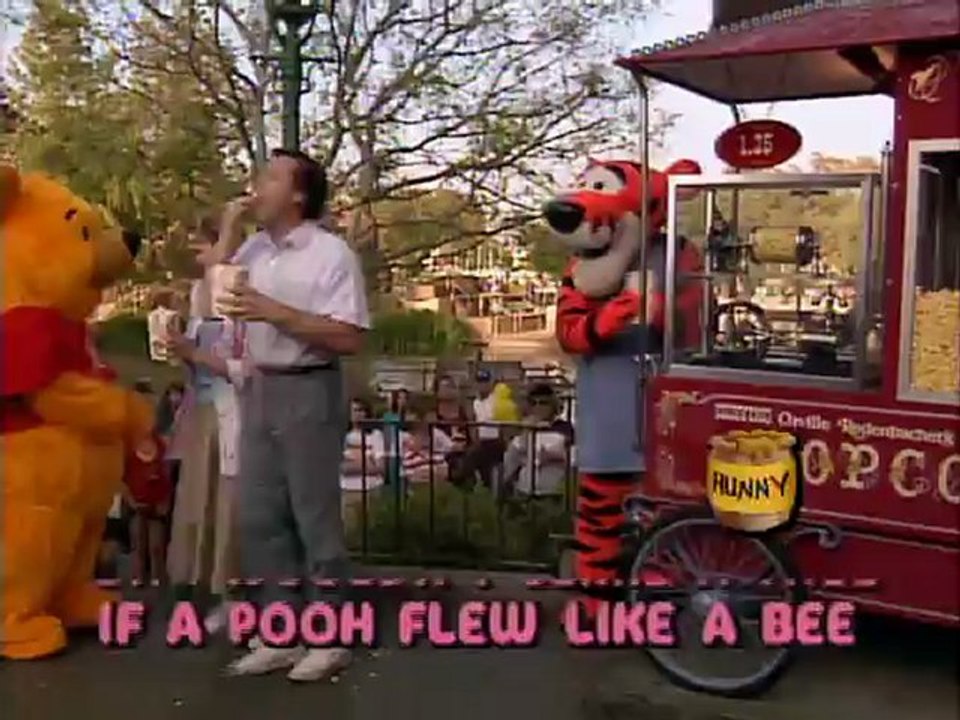 Disney Sing Along Songs: Disneyland Fun