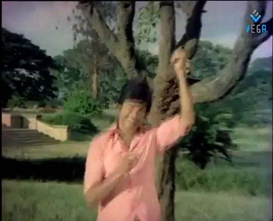 Bisi Bisi Kajjaya - Havina Hede