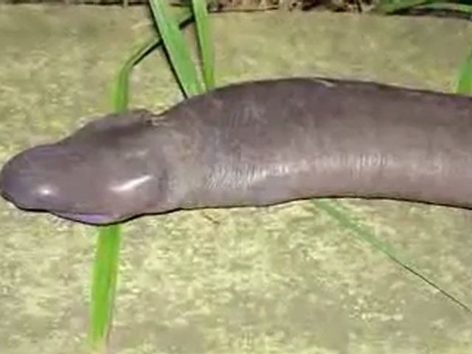 Discover More Pictures Here! 📸