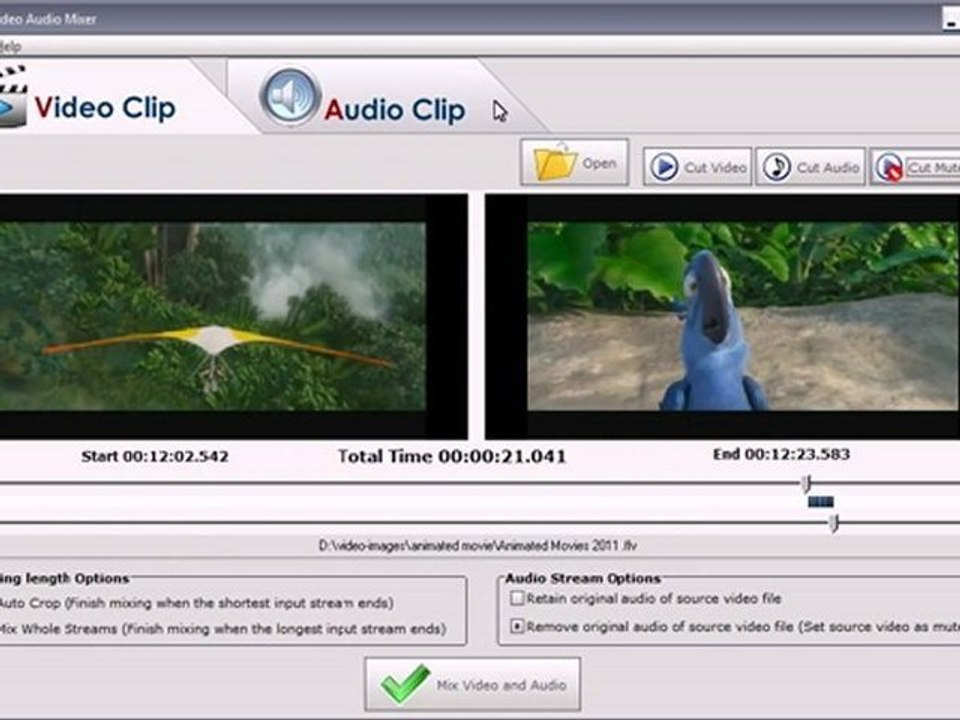 Mixing audio and video software