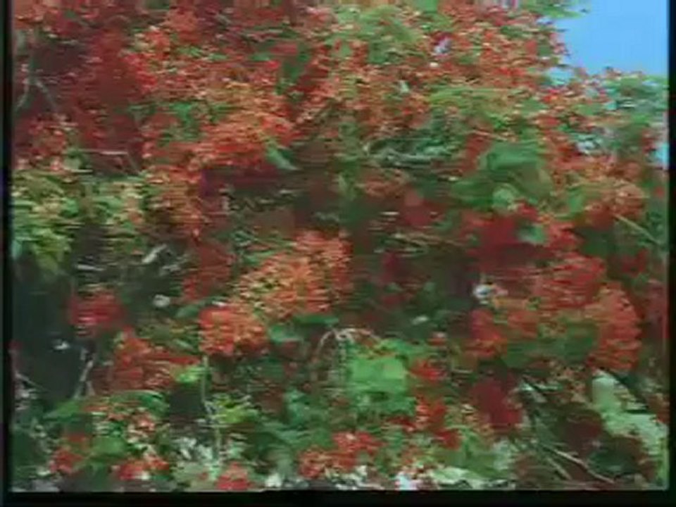 Sagarasangamam Telugu Film Songs
