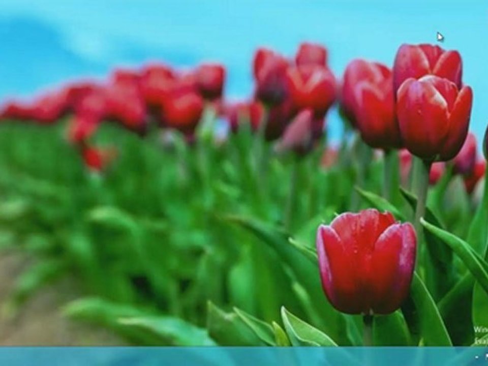 Windows 8: Windows Update