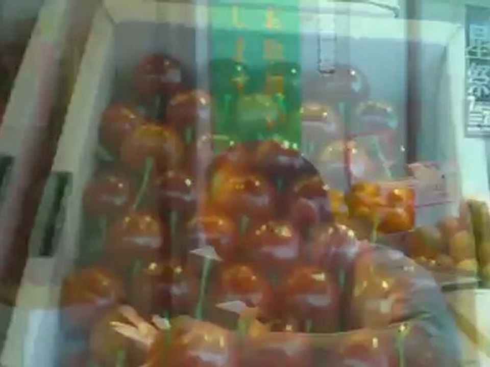 Tokyo Japan- Turning Japanese???