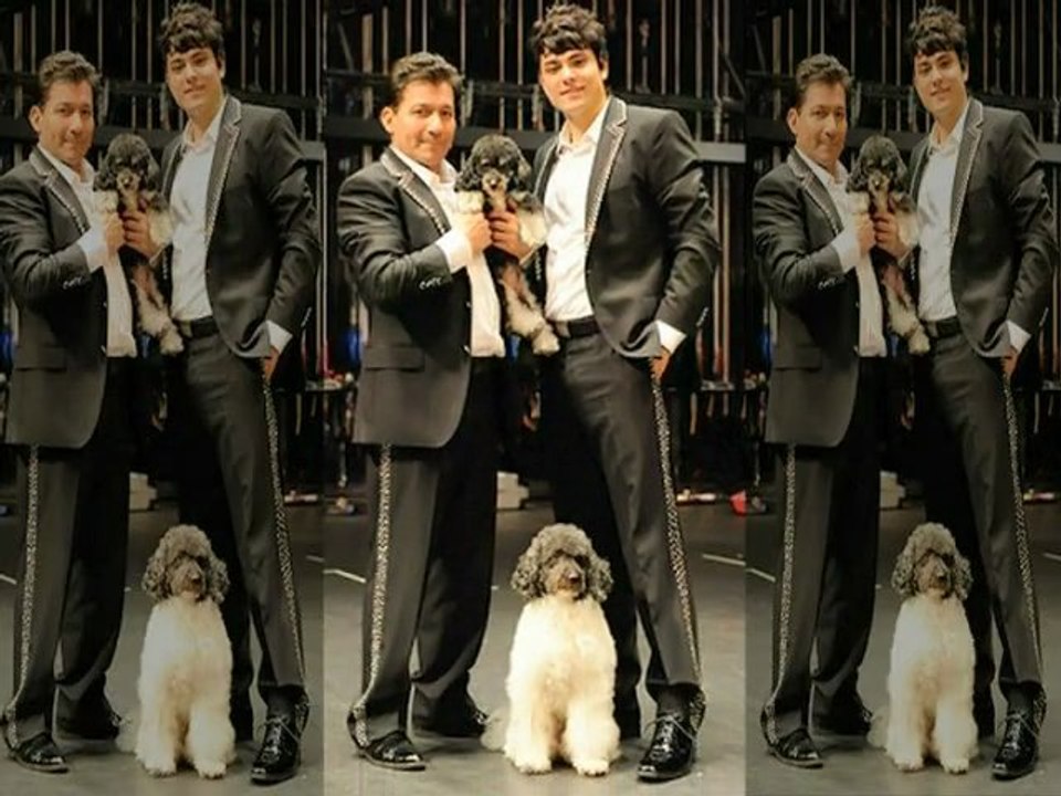 America's Got Talent Season 7 Winner Crowned! - Hollywood News