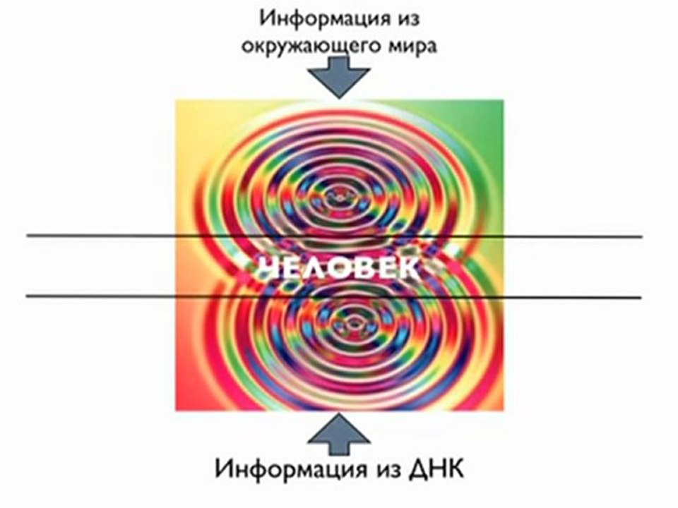 Дмитрий Шаменков. Вся правда о Здоровье